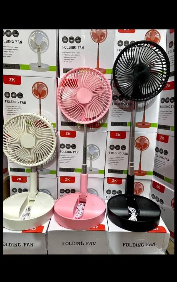 Fan with pole