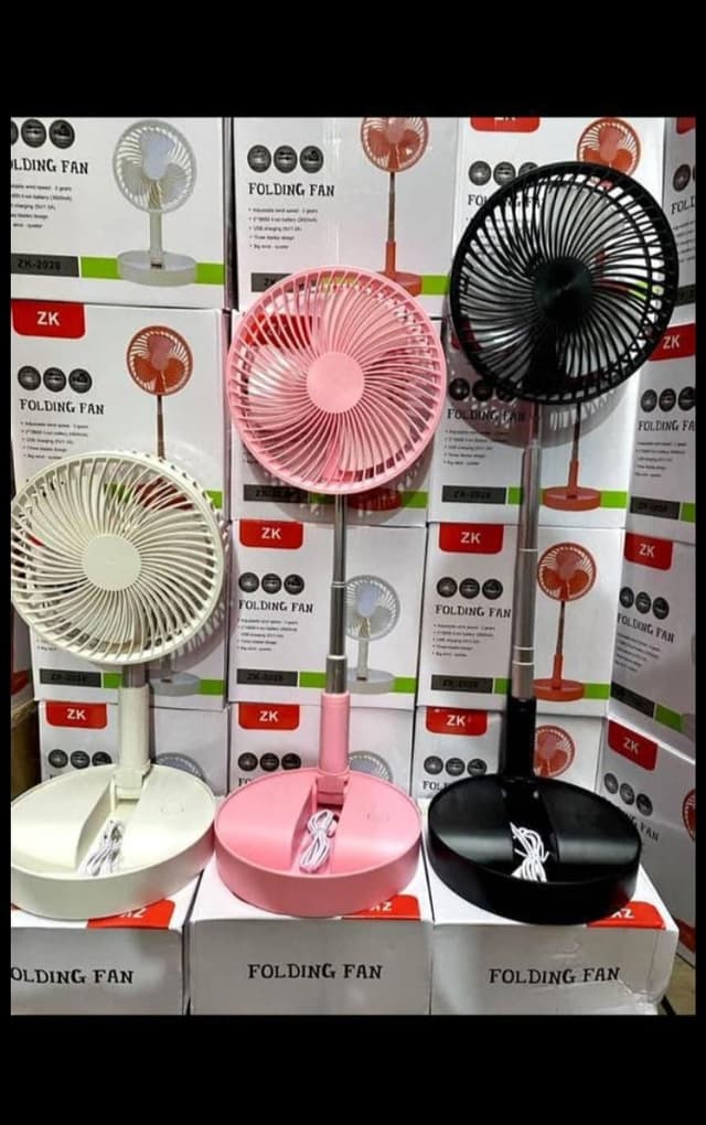 Fan with pole